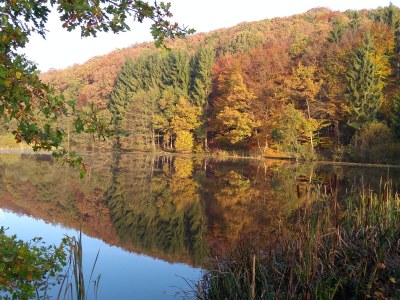 Holiday apartment Alte Schmiede no. 2 - Environment photo 34