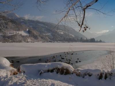 Holiday apartment Panorama - Environment photo 16
