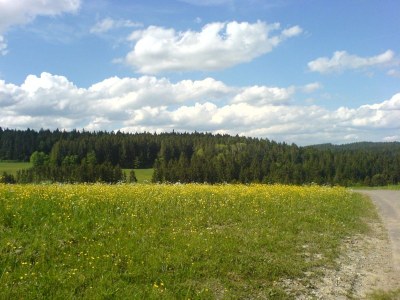 Holiday apartment Ferienwohnung Fronwald Waldwiese 1 - Environment photo 19