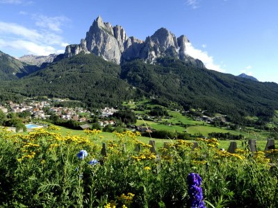 Holiday apartment Villa Nussbaumer*** - Environment photo 17