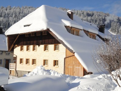 Holiday apartment Waldblick - Outdoor photo 2