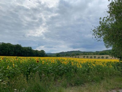 Holiday house Gartenwohnung in Hasselfelde - Environment photo 34