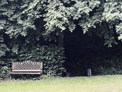 Holiday apartment Vorwerk Biensdorf - Outdoor photo 10