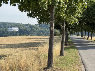 Holiday apartment Vorwerk Biensdorf - Environment photo 33