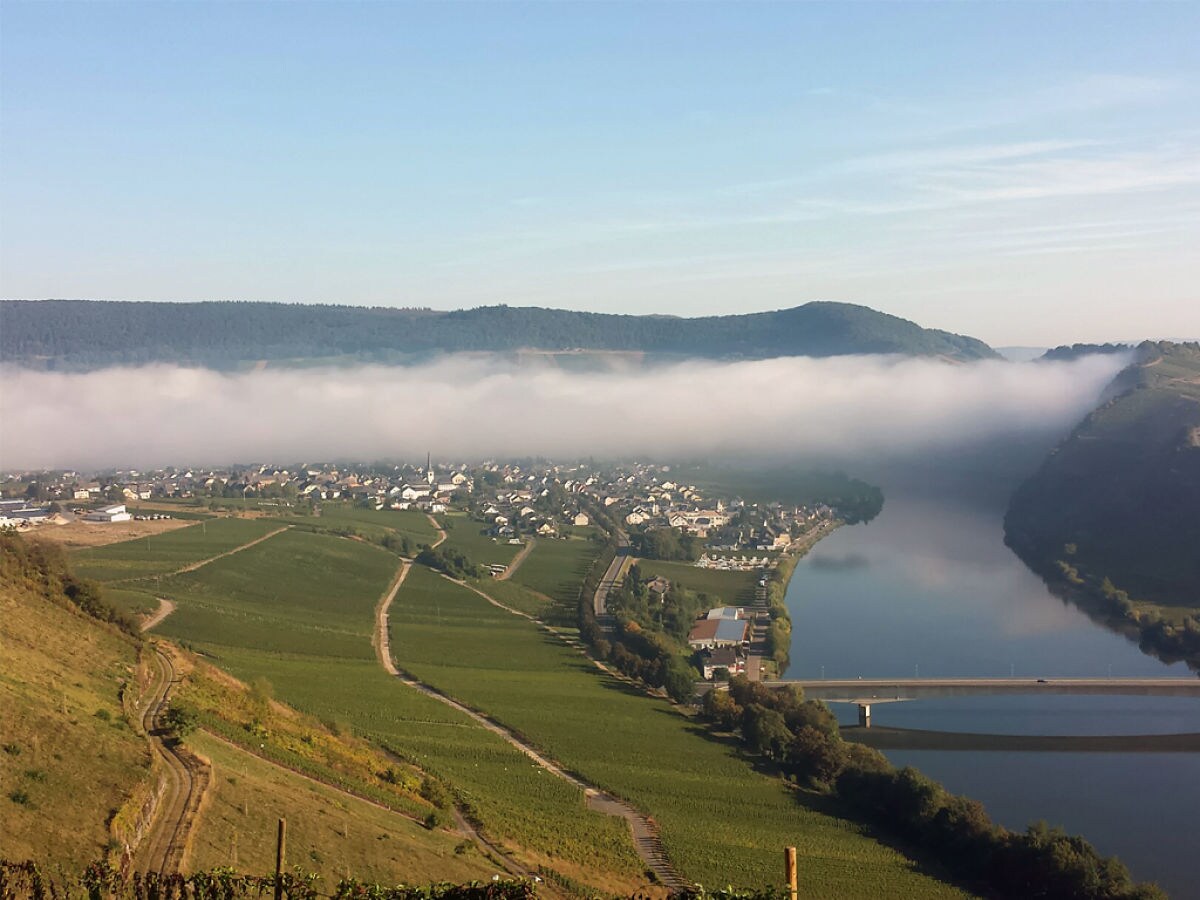 Holiday apartment Moselsteig (EG) im Ferienhaus Weitblick - Outdoor photo 3