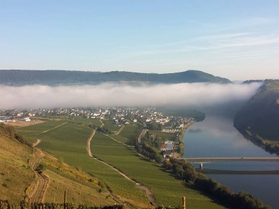 Holiday apartment Moselsteig (EG) im Ferienhaus Weitblick - Outdoor photo 3