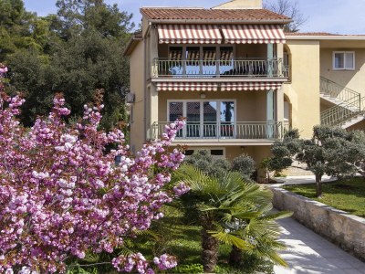Holiday apartment Sasa - Outdoor photo 6