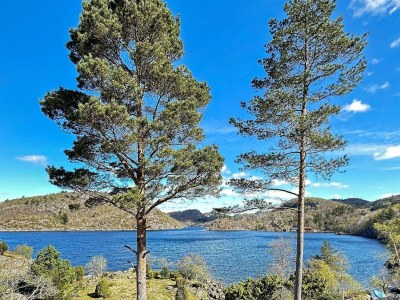 Holiday house 5 person holiday home in FARSUND-By Traum - Outdoor photo 19