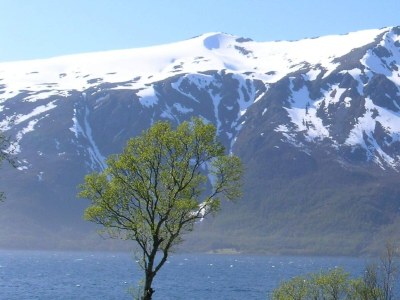 Holiday house 6 person holiday home in Gullesfjord - Outdoor photo 9