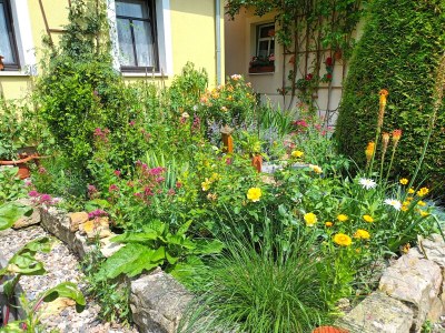 Holiday apartment "Big" at House Kühn in Bad Schandau - Holiday apartment
