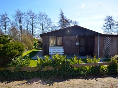 Holiday house Dijk 198 in Schoorl - Holiday house