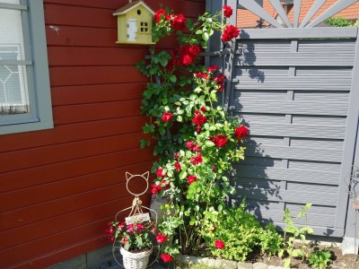 Apartment Apartment in Ennerich’s Valley - Outdoor photo 3