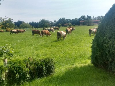 Holiday house Quartier-Hofmann - Outdoor photo 5