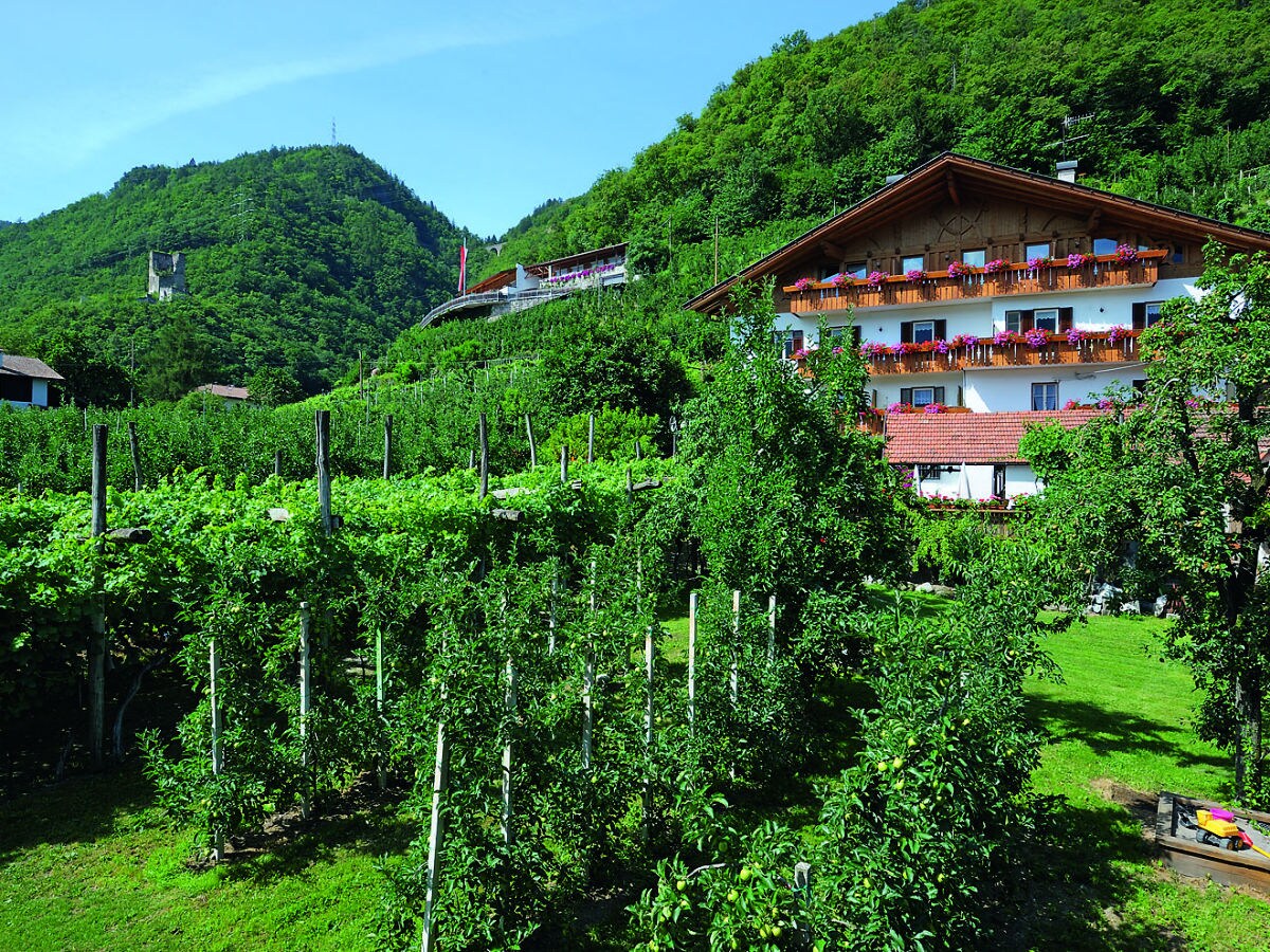 Holiday apartment Schrenteweinhof - Outdoor photo 3