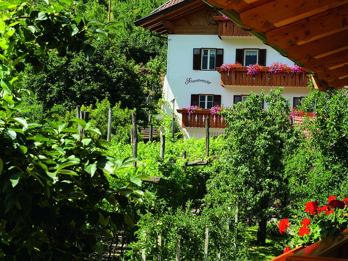 Holiday apartment Schrenteweinhof - Outdoor photo 4