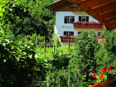 Holiday apartment Schrenteweinhof - Outdoor photo 4
