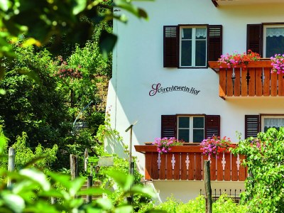 Holiday apartment Schrenteweinhof - Outdoor photo 6