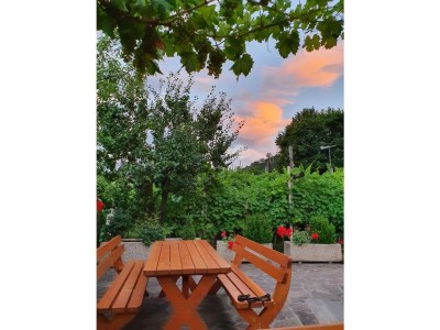 Holiday apartment Schrenteweinhof - Outdoor photo 17