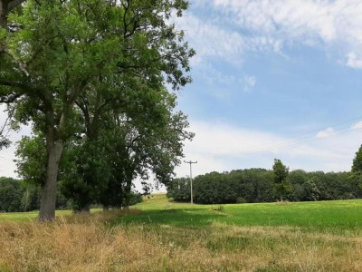 Apartment Ruhiger Komfort in Oelsnitz - Environment photo 19