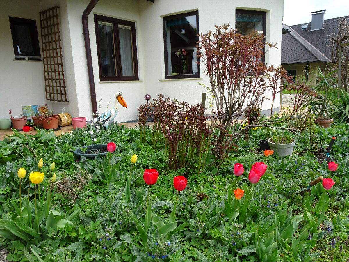 Holiday apartment Ilse  Pesendorfer - Outdoor photo 2