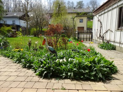 Holiday apartment Ilse  Pesendorfer - Outdoor photo 23