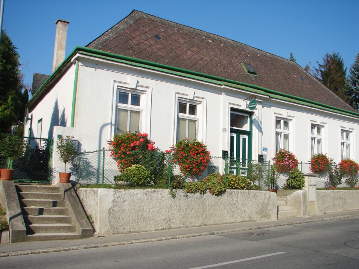 Holiday apartment 4 Weingut Hauerhof 99 - Outdoor photo 2