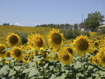Holiday house Rustikaler Charme, moderner Komfort - Environment photo 21