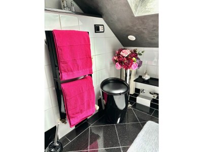 Holiday apartment Bel étage - Features photo 14
