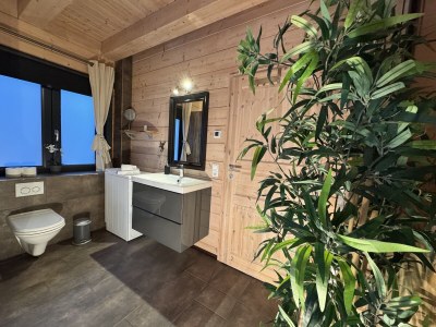 Holiday house Chalet with sauna and fireplace - Features photo 9