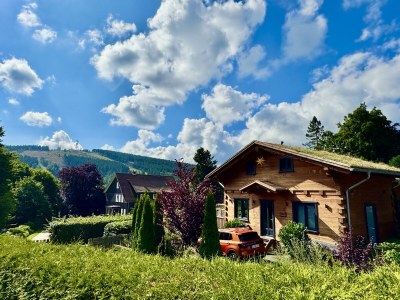 Holiday house Chalet with sauna and fireplace - Features photo 12