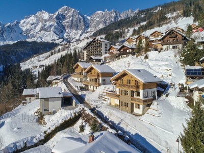 Chalet Herrlich gelegenes Premium-Chalet mit Sauna in Hochkoenig - Chalet