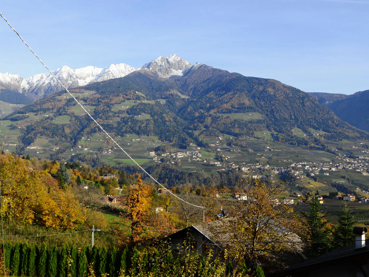 Holiday apartment Haus Rosengarten A&B - Outdoor photo 3