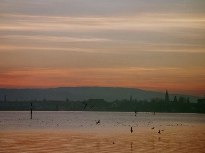 Holiday apartment Zum Schwarzen Widder - Environment photo 14