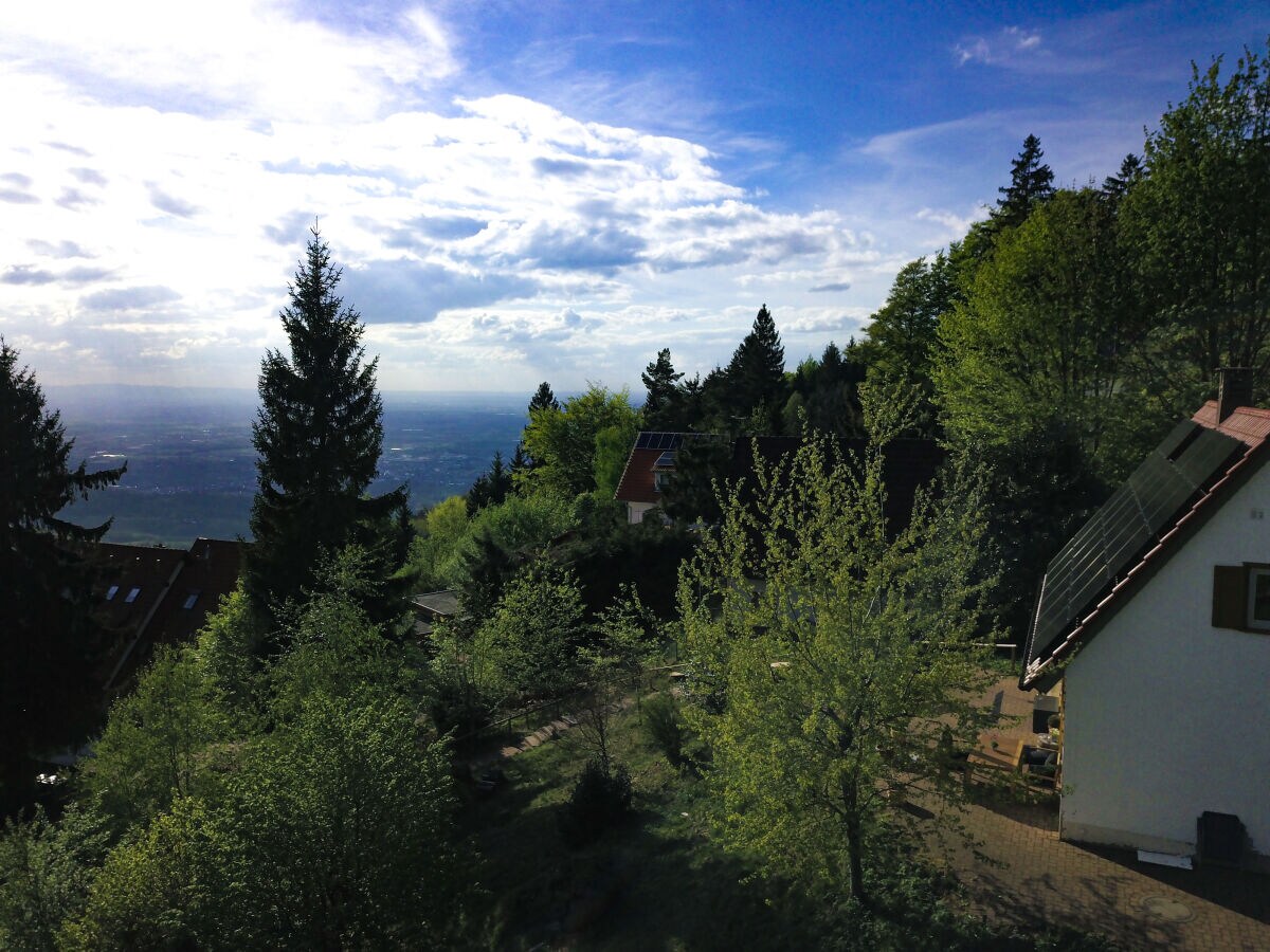 Holiday house Chalet Bergweide - Outdoor photo 2