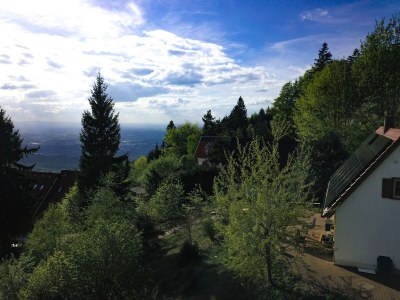 Holiday house Chalet Bergweide - Outdoor photo 2