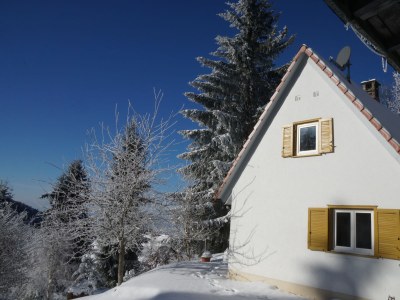 Holiday house Chalet Bergweide - Outdoor photo 12