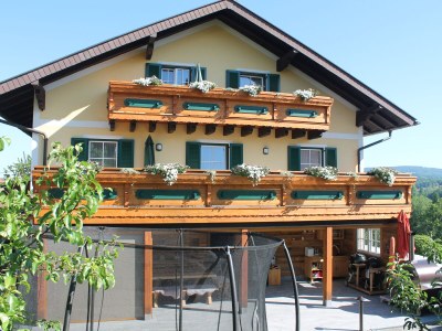 Holiday apartment Am Irrsee - Pension Winter - Outdoor photo 3