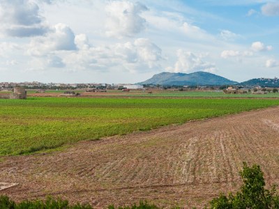 Villa Can Melis - Environment photo 29