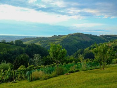 Cottage Mansion in Langhe with Pool and Winery Charm - Environment photo 21
