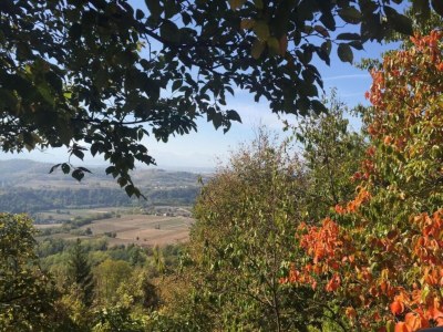 Cottage Mansion in Langhe with Pool and Winery Charm - Environment photo 33