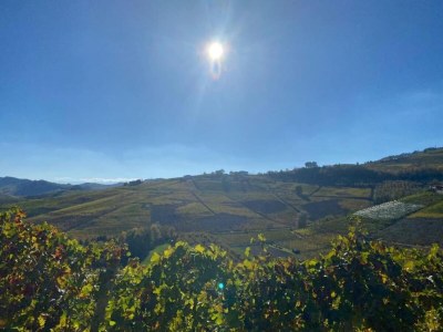 Cottage Mansion in Langhe with Pool and Winery Charm - Environment photo 36