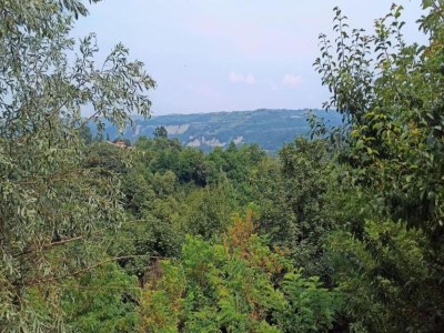 Cottage Mansion in Langhe with Pool and Winery Charm - Environment photo 37