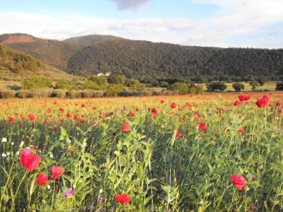 Holiday house Malerischer Aufenthalt in Spoleto - Environment photo 16