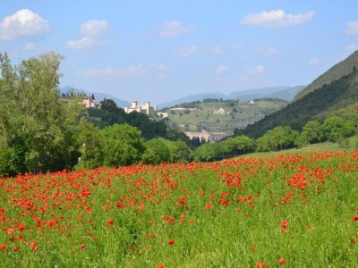 Holiday house Malerischer Aufenthalt in Spoleto - Environment photo 22