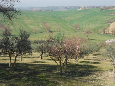 Holiday house Malerischer Aufenthalt in Spoleto - Environment photo 27