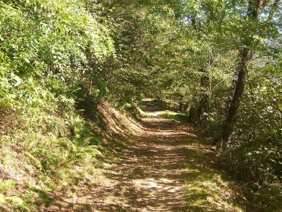 Holiday apartment Casa Donizetti - Environment photo 20