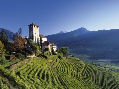 Holiday apartment No. 1 at Vacation house Tauber - Environment photo 8