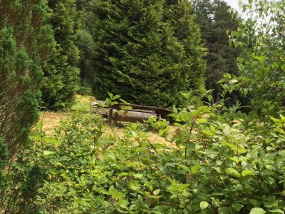 Holiday house Charmantes, einladendes Ferienhaus in toller Natur - Outdoor photo 5