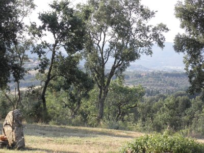 Holiday apartment In the detached country house Benefei - Outdoor photo 3
