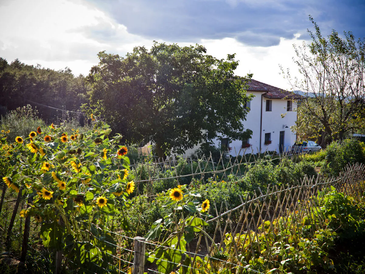 Holiday apartment Casa Rondini